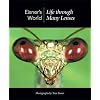 Eisner's World: Life through Many Lenses