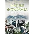 Nature of Snowdonia: A Beginner's Guide to the Upland Environment