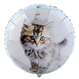 Glamour Cats Mylar Balloon Party Supplies