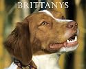 Just Brittanys 2010 Calendar