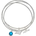 LogoArt Carolina Panthers 2.5 inch Crystal Bangle Bracelets
