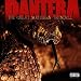 Pantera-Great Southern Trendkill