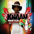 Wavin' Flag (Coca-Cola� Celebration Mix)