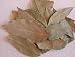 Bay Leaves (Tejpata) 3.5oz- Indian Grocery,Spice