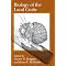 Land Hermit Crab Books