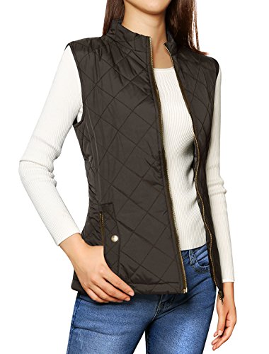 Allegra K Woman Zip Up Stand Collar Slant Pockets Quilted Padded Vest Brown XL
