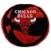 Chicago Bulls 14'' Team Logo Plush Pillow