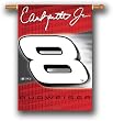 Dale Earnhardt Jr.#8 NASCAR 3' x 5' Premium 2-Sided Banner Flag by BSI Products Inc.