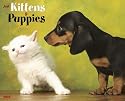 Just Kittens & Puppies 2010 Calendar