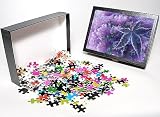 Photo Jigsaw Puzzle of USA, Washington, from Danita Delimont