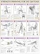 Strength Training Anatomy: Strength Training for the Buttocks Poster