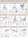 Strength Training Anatomy: Strength Training for the Buttocks Poster