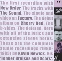 1980-1983: Tender Bruises And