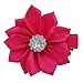 Grosgrain Ribbon Wrapped Alligator Baby Hair Bow Flower Clips (10 Pairs)