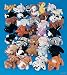 Mini Bean Bag Animal Assortment (50 pc)