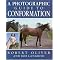 Horsemanship Books