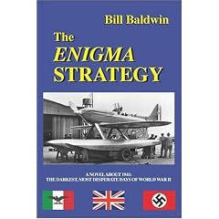 The Enigma Strategy
