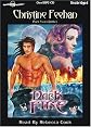 Dark Fire (Unabridged)