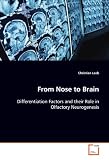 From Nose to Brain: Differentiation Factors and their Role in Olfactory Neurogenesis
