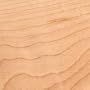 Maple, 1/4" x 3" x 24"