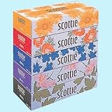 �X�R�b�e�B�e�B�b�V�� 160�g*5�p�b�N