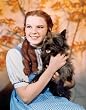 The Wizard of Oz Dorothy Hugging Toto Classic Fantasy Musical Movie Film Postcard Poster Print 11x14