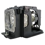 Sanyo POA-LMP106 replacement projector lamp bulb with housing - high quality replacement lamp