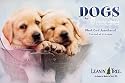 Dogs by Rachael Hale - Greeting Card Assortment [AST90683]