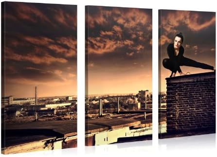 DUSK TEMPTATION - Catlike Woman on a Rooftop Mystical Gallery Wrapped Canvas Print Size: 52"W x 31.5"H