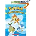 Sinnoh Handbook (Pokemon)