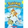 Sinnoh Handbook (Pokemon)