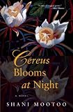 Cereus Blooms At Night