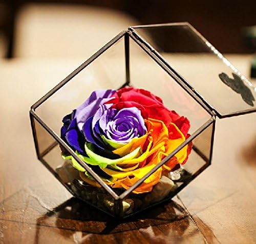 Natural Preserved Fresh Flower Rainbow Rose in a cube Personalized Valentines day present gifts