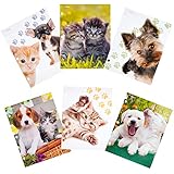 Mead Purrs & Grrrs 2-Pocket Folder, Assorted Designs, 6 Pack (73067)