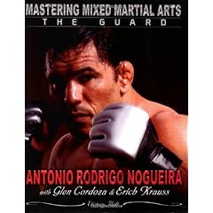 Mastering Mixed Martial Arts