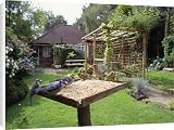 Canvas Prints of JD-14066 BIRD TABLE - Great tits, Greenfinch (Cardvelis Chloris) and House from Ardea Wildlife Pets