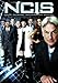 NCIS: The Complete 10th Season