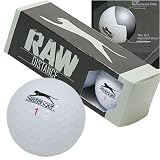 �X���Z���W���[ RAW DISTANCE 2009�y�R���̔��z