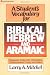 Student's Vocabulary for Biblical Hebrew and Aramaic, A
