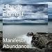 Manifesting Abundance