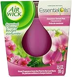 Air Wick Frosted Scented Candle, Summer Sweet Pea Scent, 3.5 Ounce (Pack of 6)