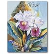 Double Catelaya - Get Well Gift Enclosure Cards (set of 12)