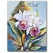 Double Catelaya - Get Well Gift Enclosure Cards (set of 12)