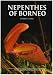 Nepenthes of Borneo