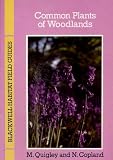 Common plants of woodlands