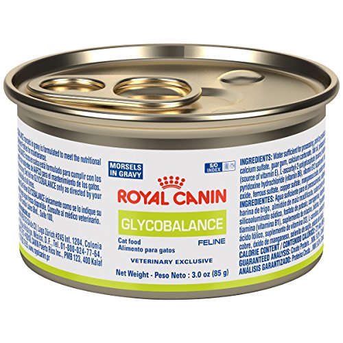 ROYAL CANIN Feline Glycobalance Morsels In Gravy Can (24/3 oz) Cat Food