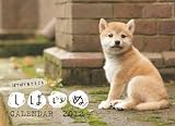 しばいぬCALENDAR 2012