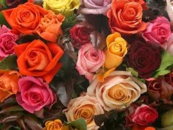Ravensburger A Rosy Bunch - 1000 Piece Puzzle
