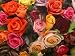 Ravensburger A Rosy Bunch - 1000 Piece Puzzle
