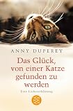 Das Gl�ck, von einer Katze gefunden zu werden: Eine Liebeserkl�rung